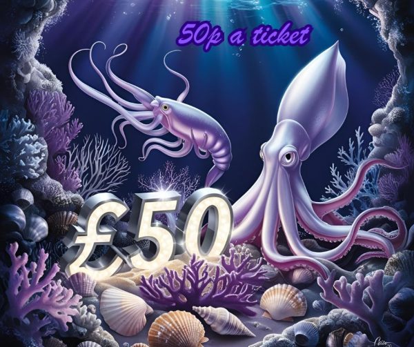 £50 SQUID 🦑
