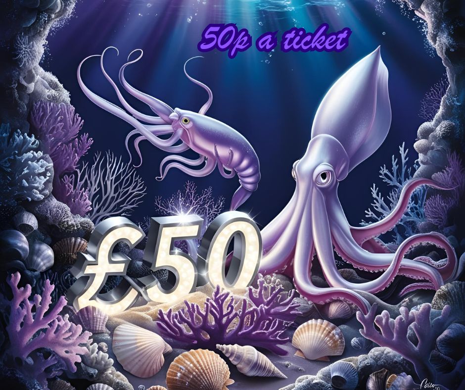 Won £50 SQUID 🦑